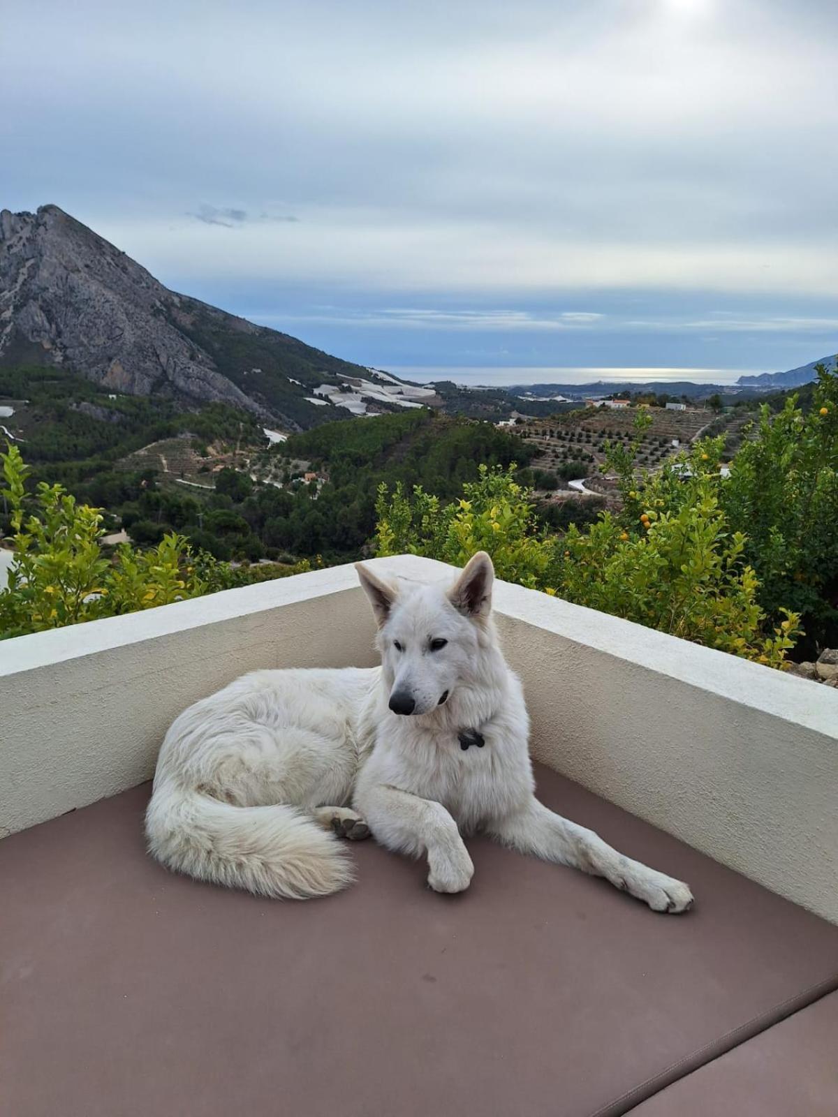 Bed & Breakfast Finca Oliva *